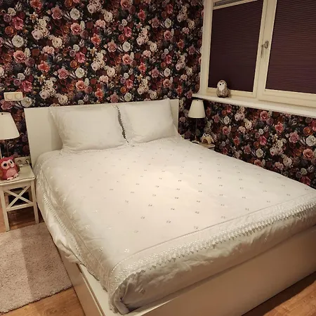 Bed & Breakfast De Drie Uiltjes